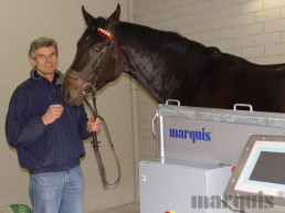 VMS-Trainer marquis VMS - Trainings- und Therapiestand für Pferde